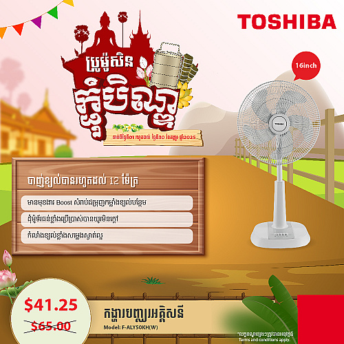 Toshiba Electric Fan 16 inch
